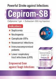 Cepirom 1 Gm Injection 1