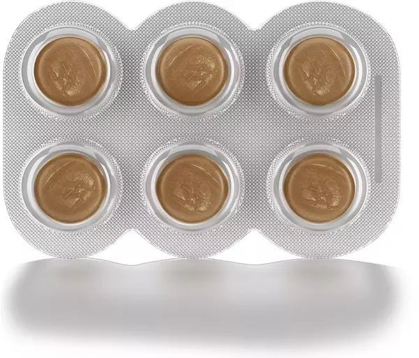 Himalaya Koflet H Ginger Flavour 6 Lozenges