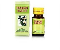 Roghan Babchi